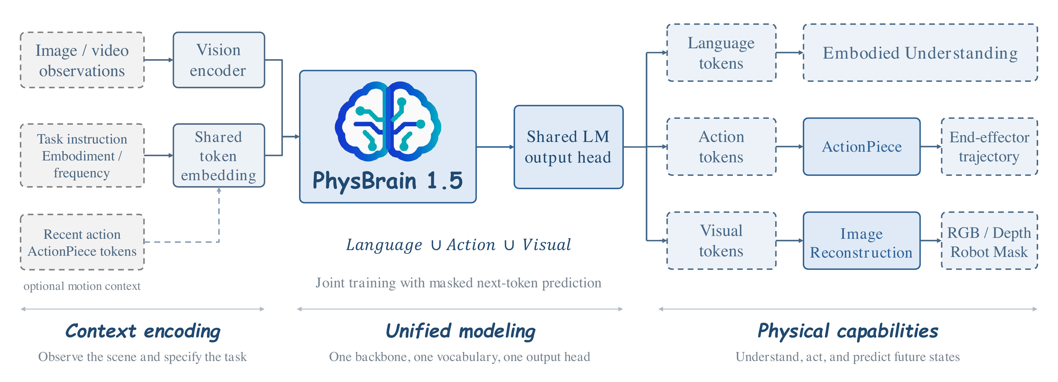 PhysBrain 1.5 model architecture